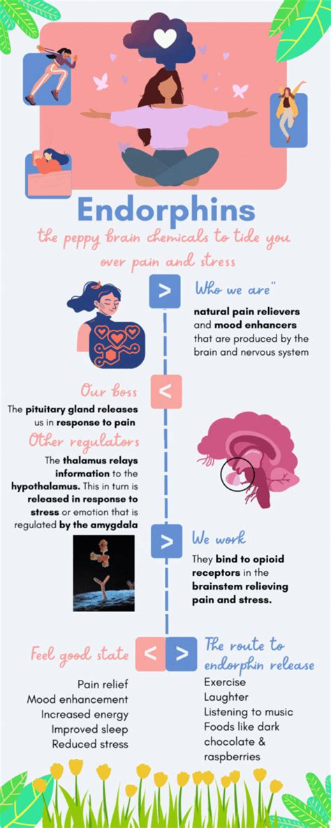 beta endorphin|Endorphins: The brain's natural pain reliever .
